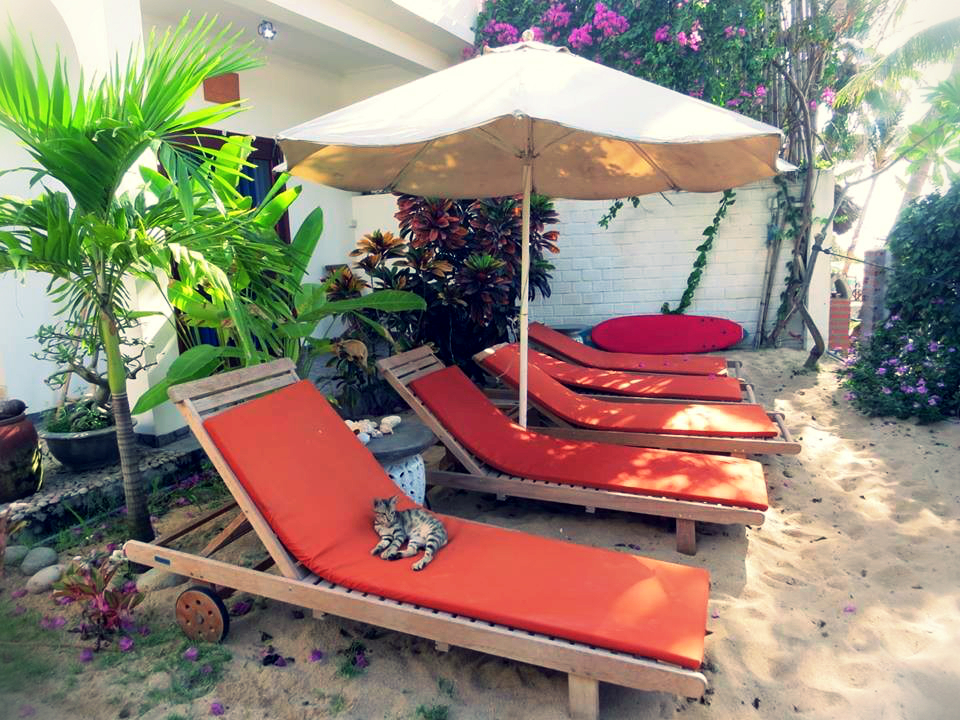 6 homestay quy nhơn cực chất cực xinh không nên bỏ qua